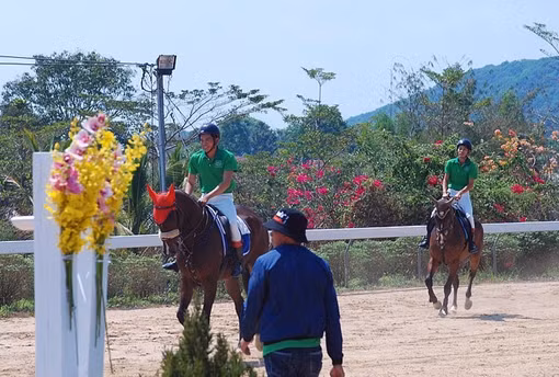 Ra mắt CLB Cưỡi ngựa Olympic tại tỉnh Lâm Đồng