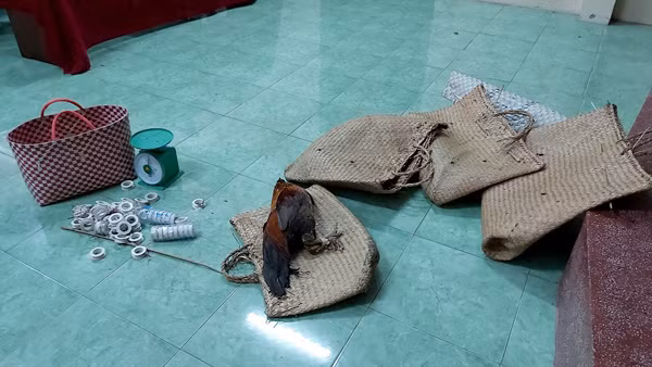 Tang vật bị cơ quan chức năng thu giữ.