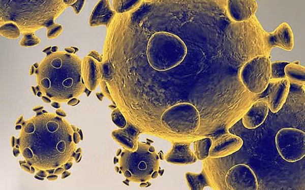 Hình ảnh do Cơ quan dược phẩm và thực phẩm Mỹ cung cấp về virus SARS-CoV-2 gây dịch viêm đường hô hấp cấp COVID-19.