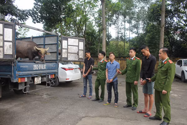 Cơ quan Công an bắt giữ 3 đối tượng cùng tang vật.