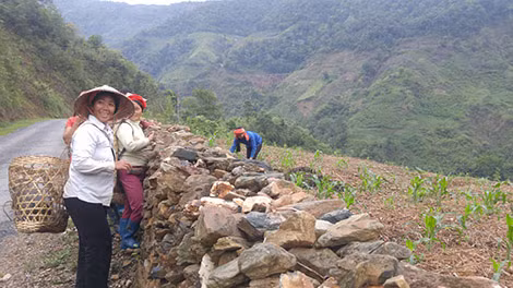 Bà con nghỉ ngơi bên nương ngô ven đường.