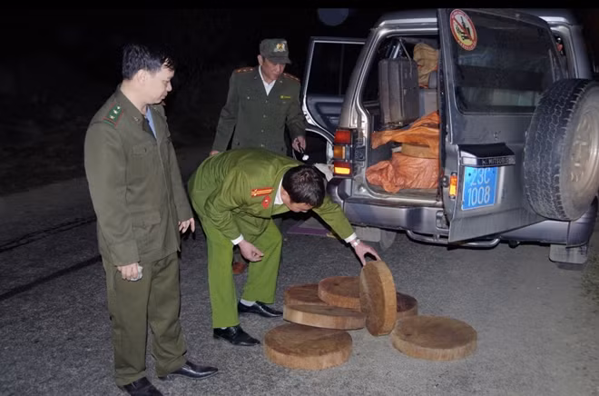 Tổ công tác kiểm tra số gỗ chở trên xe ô tô.