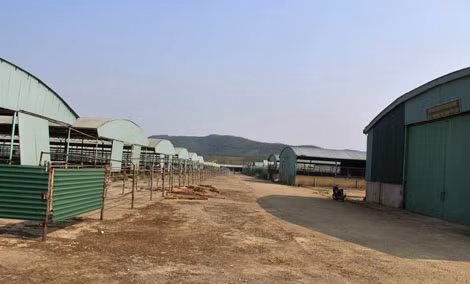 Dự án chăn nuôi bò của Công ty Bình Hà trở thành một điểm đen của ngành Nông nghiệp Hà Tĩnh. Dự án chăn nuôi bò của Công ty Bình Hà trở thành một điểm đen của ngành Nông nghiệp Hà Tĩnh.