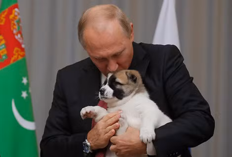 Tổng thống Nga Putin được biết đến là người rất yêu động vật. Tổng thống Nga Putin được biết đến là người rất yêu động vật.