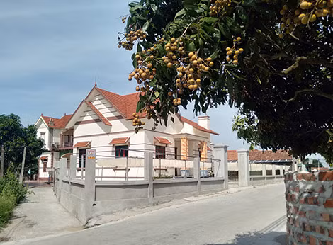 Những ngôi nhà mới xây dựng từ tiền bán nhãn.