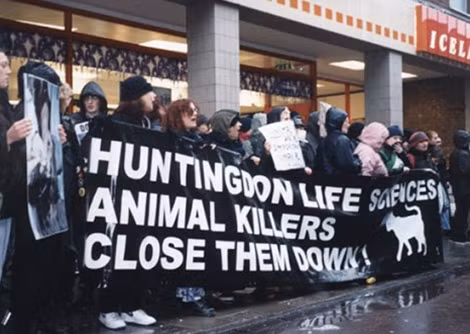 Nhóm Stop Huntingdon Animal Cruelty biểu tình chống công ty thử nghiệm thuốc trên động vật.