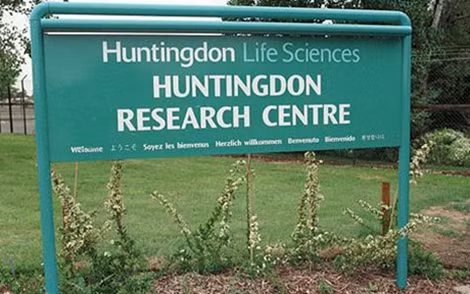 Công ty Huntingdon Life Sciences.