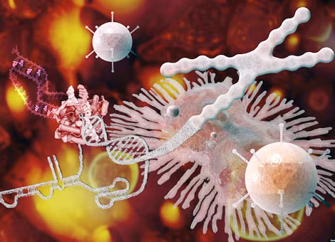 “Thần dược tuổi trẻ” Telomerase được xem là hi vọng mới về sự hồi sinh người đã chết. “Thần dược tuổi trẻ” Telomerase được xem là hi vọng mới về sự hồi sinh người đã chết.