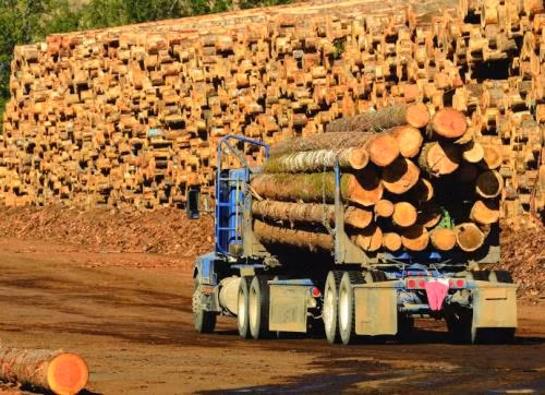 Dự kiến năm 2018 kim ngạch xuất khẩu gỗ của Việt Nam đạt khoảng 9 USD.