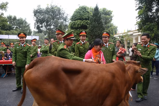 Trao tặng bò giống cho các hộ nghèo
