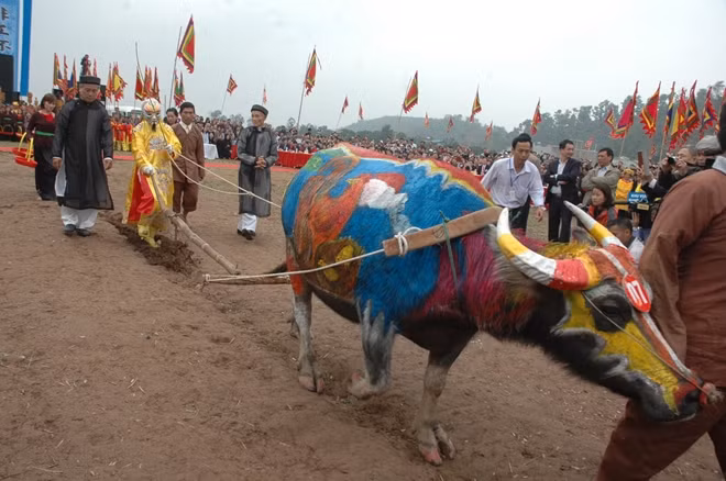 Các bô lão tái hiện cảnh Vua Lê Đại Hành cày ruộng.