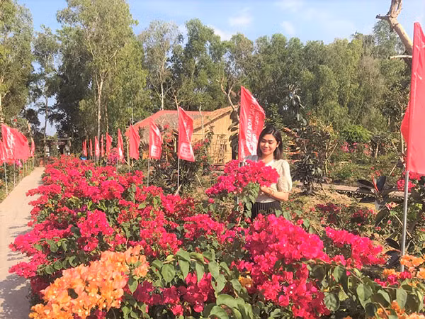 Sắc hoa rạng rỡ đón xuân Trà Sư.