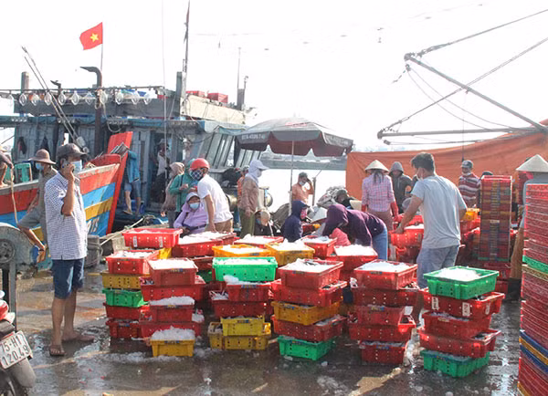 Ảnh hưởng dịch COVID-19 khiến nguồn tiêu thụ hải sản của ngư dân tỉnh Thừa Thiên-Huế giảm mạnh.