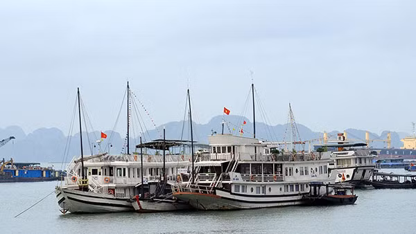 Hàng trăm tàu du lịch trên vịnh Hạ Long vẫn đang phải nằm bờ do ảnh hưởng của dịch bệnh.