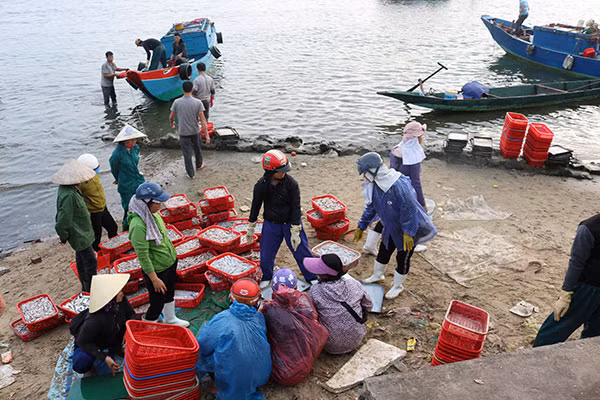 Bà con ở vùng nông thôn, ven biển vùng lũ Quảng Bình đẩy mạnh phát triển thủy hải sản để phát triển kinh tế sau lũ lụt.
