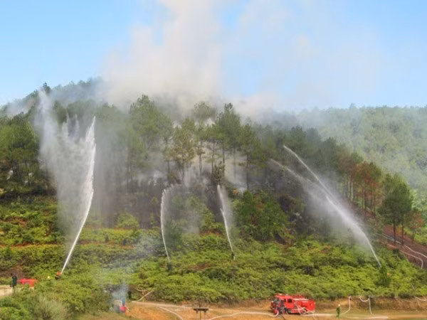 Chữa cháy rừng (ảnh mang tính chất minh họa).