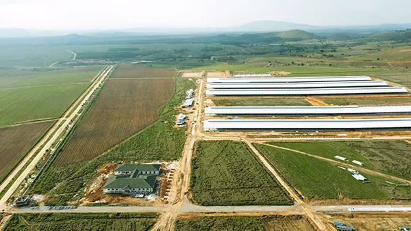 Tổ hợp trang trại tại Lào của Vinamilk đã hoàn thiện các hạng mục xây dựng cơ bản của cụm trang trại đầu tiên, dự kiến đi vào hoạt động vào đầu năm 2022. Tổ hợp trang trại tại Lào của Vinamilk đã hoàn thiện các hạng mục xây dựng cơ bản của cụm trang trại đầu tiên, dự kiến đi vào hoạt động vào đầu năm 2022.