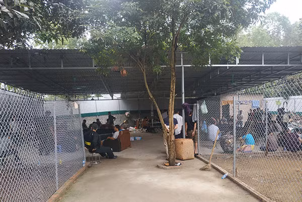 Hiện trường vụ việc.