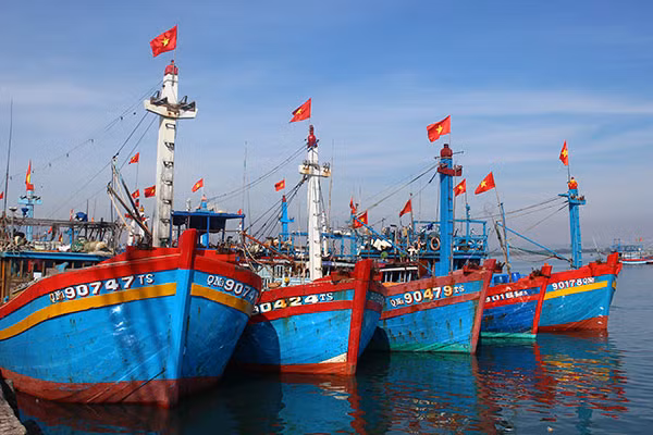 Để ra khơi khai thác hải sản, mỗi tàu cá đều phải có bảo hiểm.