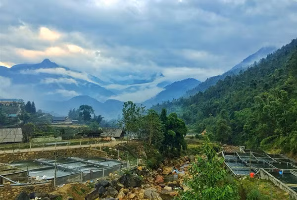 Trang trại cá hồi, cá tầm ở Sa Pa. Ảnh: CTV.
