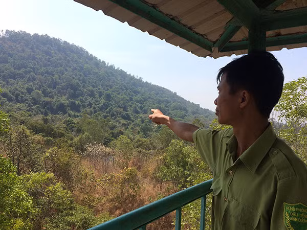 Cán bộ quản lý rừng phòng hộ núi Cậu trực bảo vệ ngày, đêm.