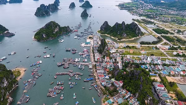 Khu kinh tế Vân Đồn có 7 dự án bị thu hồi, hủy bỏ chủ trương nghiên cứu.