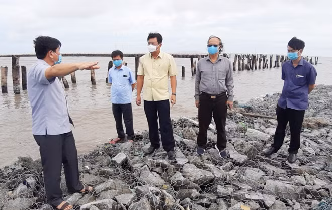 Ông Nguyễn Tiến Hải (thứ 3 từ phải qua), Bí thư Tỉnh ủy Cà Mau kiểm tra một điểm sạt lở đê biển Tây.