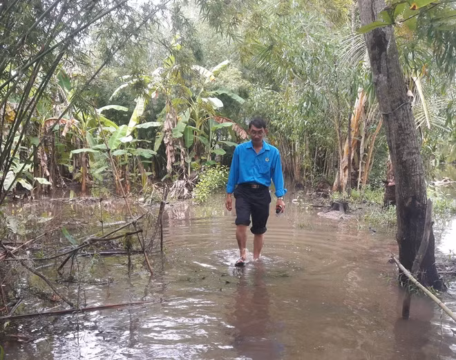 Nhiều xã trên địa bàn huyện Trần Văn Thời (Cà Mau) bị ngập úng do mưa lớn những ngày qua.