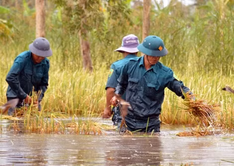 Hạn chế các hoạt động chưa cần thiết để khắc phục hậu quả thiên tai