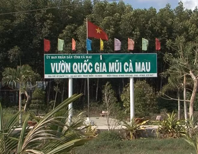 Vườn Quốc gia Mũi Cà Mau.