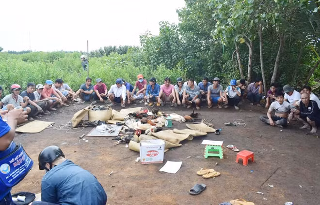 Các đối tượng đá gà bị bắt quả tang.