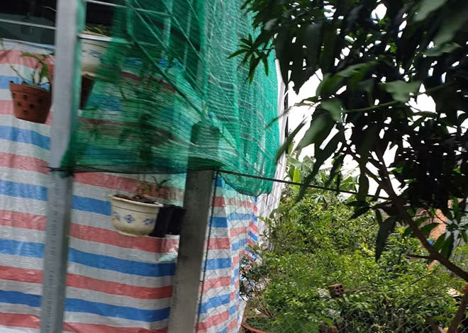 Căn nhà nơi xảy ra vụ việc.
