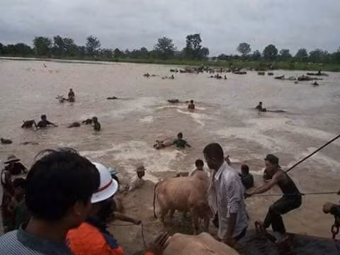 Hiện các chuyên gia vẫn còn có các quan điểm khác nhau về việc ảnh hưởng của vụ vỡ đập cũng như nước lũ sẽ ảnh hưởng thế nào đến hạ lưu, thậm chí là vùng Đồng bằng SCL của Việt Nam.
