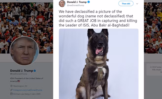 Tổng thống Mỹ Donald Trump ngày 28-10 cũng đã tuyên dương chú chó K9 giống Malinois tham gia vào cuộc tập kích trùm khủng bố IS Abu Bakr al-Baghdadi. “Danh tính” của chú chó không được công bố. Chú chó này bị thương khi trùm khủng bố tự sát bằng bom gắn trên áo, tuy nhiên, đã bình phục và có thể tiếp tục thực hiện nhiệm vụ.
