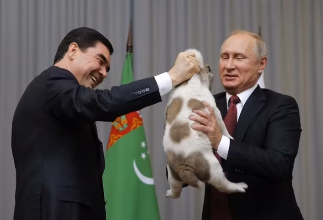 Hình ảnh Tổng thống Nga Vladimir Putin nhận được món quà sinh nhật tuổi 65 đặc biệt từ người đồng cấp Turkmenistan. Ông Putin đã gọi chú chó, một giống chó lai quý hiếm mà người Turkmenistan coi là bảo vật quốc gia, với cái tên Verny, theo tiếng Nga có nghĩa là "đáng tin cậy"