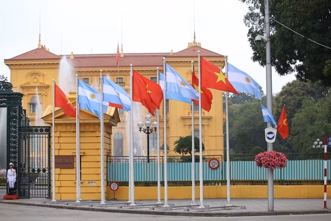 Lá cờ hai nước tung bay trên đường phố Hà Nội.