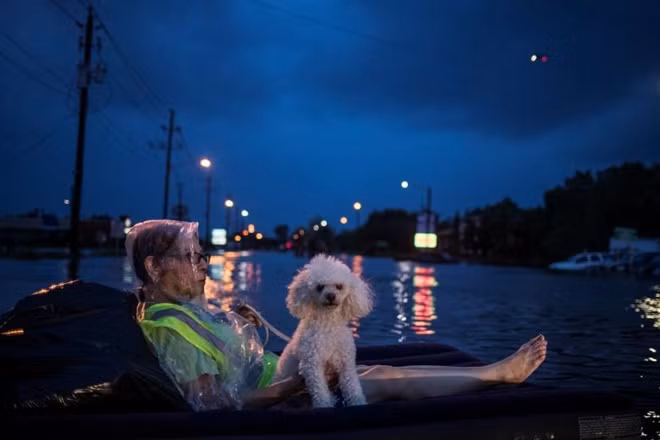 Một người phụ nữ lớn tuổi cùng chú chó poodle của mình lặng lẽ trên chiếc phao nổi trên mặt nước lũ, chờ đợi đội cứu hộ trên Đại lộ Scarsdale, Houston