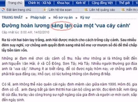 Một bài trên báo mạng bị lỗi chính tả.