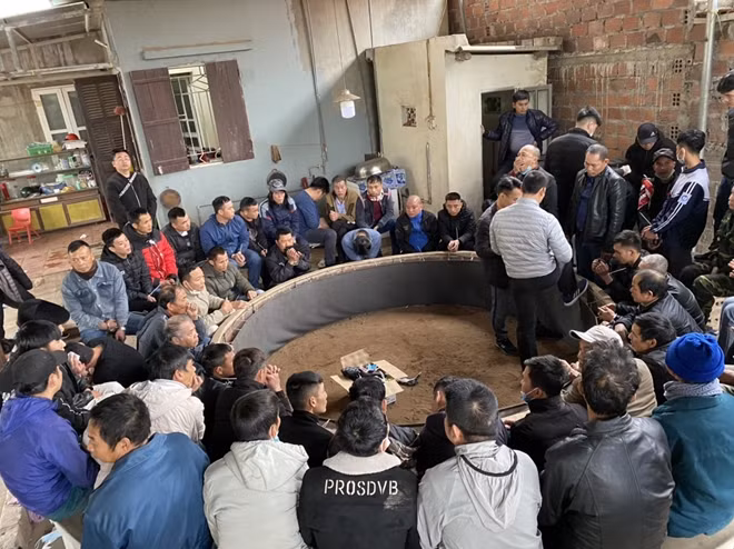 59 đối tượng đang sát phạt nhau tại bằng hình thức đá gà ăn tiền