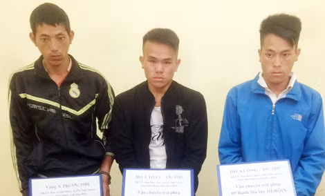 3 đối tượng trong vụ án.