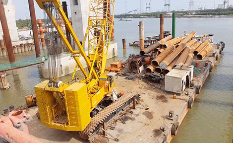 Đề nghị thu hồi Giấy chứng nhận đăng ký kinh doanh của Công ty Meinhardt