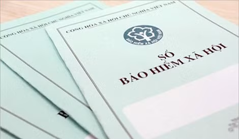 Trao hơn 12 nghìn sổ bảo hiểm xã hội, thẻ bảo hiểm y tế cho người dân ảnh 2