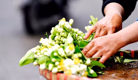 Tháng ba, hoa bưởi cùng người về phố. Tháng ba, hoa bưởi cùng người về phố.