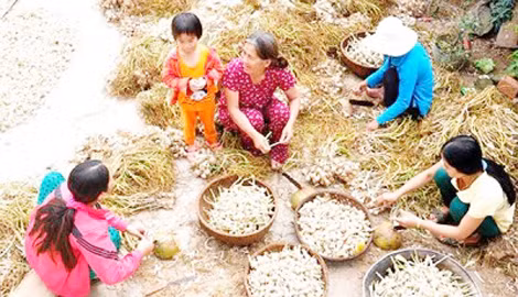Hàng triệu khách hàng được thụ hưởng tối đa ích lợi từ các chương trình tín dụng chính sách của Agribank.