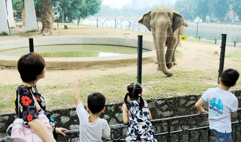 Công nhận điểm du lịch Vườn thú Hà Nội