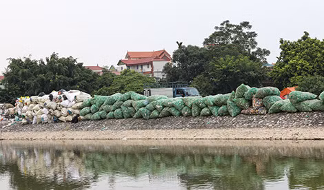 Từng bao tải phế liệu được xếp lại như thế này dọc đường vào thôn Xà Cầu.