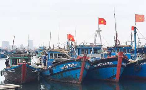 Ngay sau lễ hội cầu ngư, hàng trăm tàu cá của ngư dân Đà Nẵng đã sẵng sàng vươn khơi đón lộc biển đầu năm.