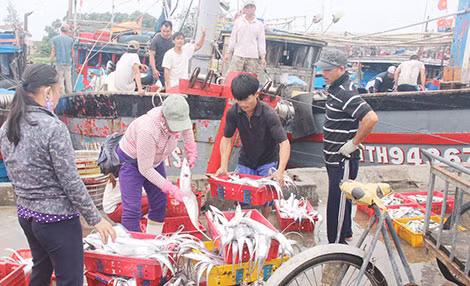 Ngư dân Thừa Thiên-Huế phấn khởi khi tàu thuyền đánh bắt từ khơi xa trở về cập cảng đầy ắp hải sản. Ngư dân Thừa Thiên-Huế phấn khởi khi tàu thuyền đánh bắt từ khơi xa trở về cập cảng đầy ắp hải sản.