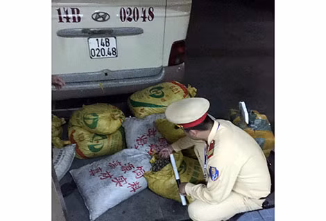 Tang vật thu giữ.