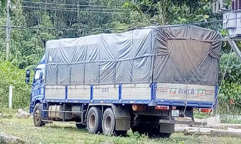 Ngụy trang gỗ trắc với gỗ mít để qua mắt kiểm lâm